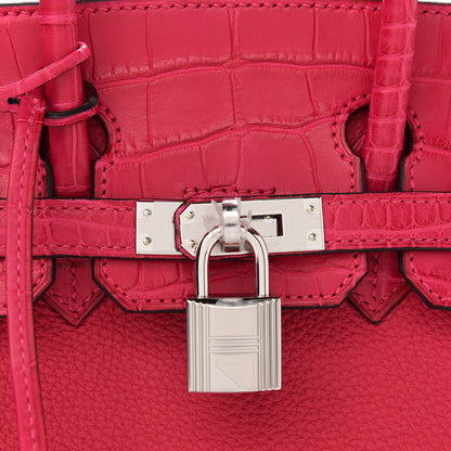 Hermes Togo Matte Alligator Birkin Touch 25 Framboise 8 of 11