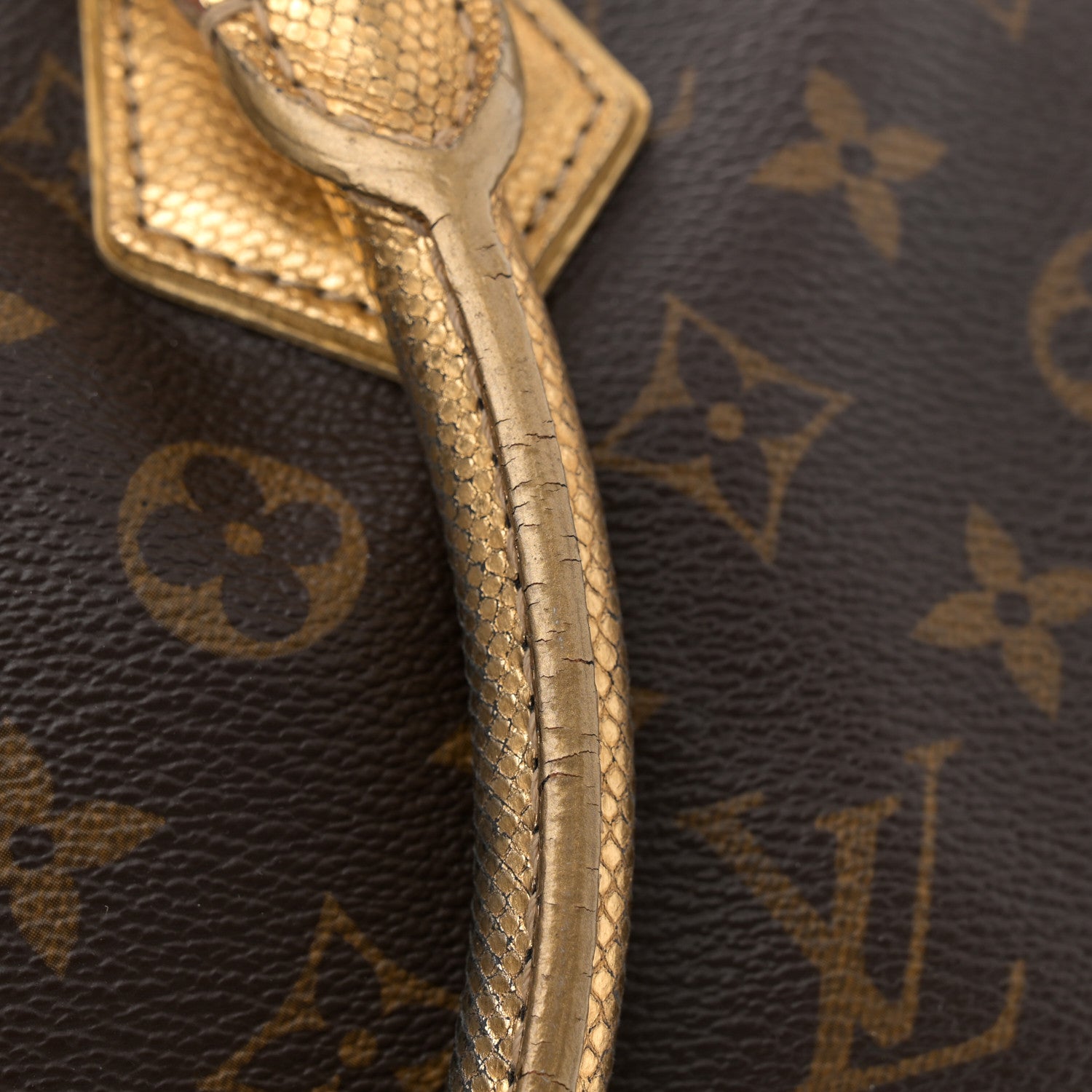 Louis Vuitton Monogram Leopard Stephen Bag 11 of 12