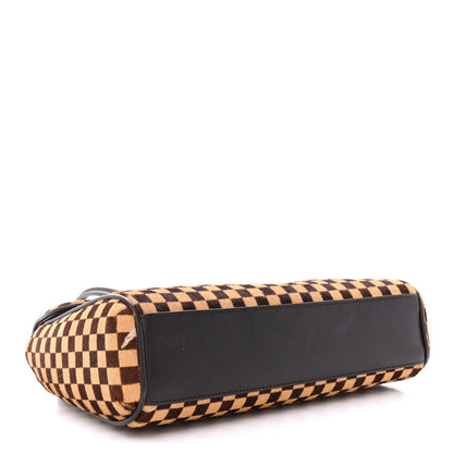 Louis Vuitton LOUIS VUITTON Damier Sauvage Lionne 4 of 13