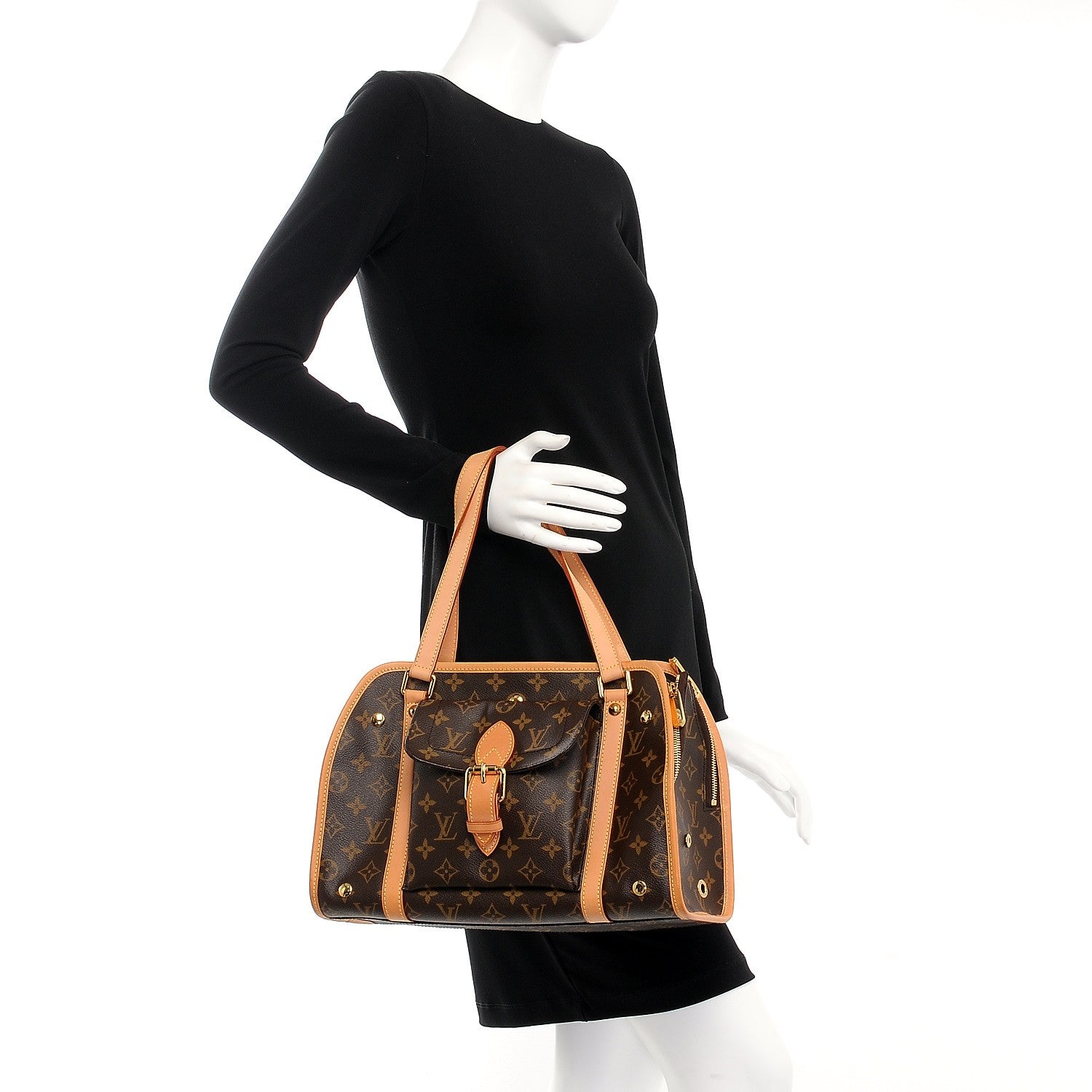 Louis Vuitton Monogram Baxter PM Dog Pet Carrier 2 of 8