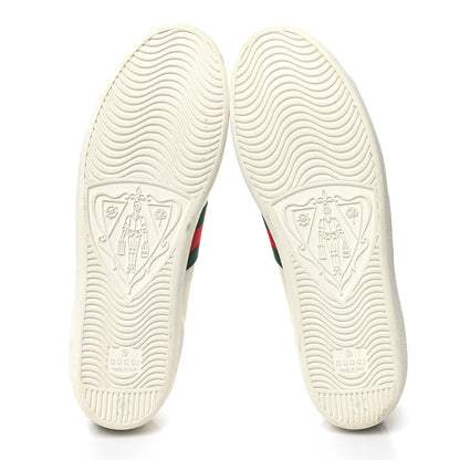 Gucci Calfskin Crocodile Web Womens Ace Sneakers 41 White Green 5 of 11