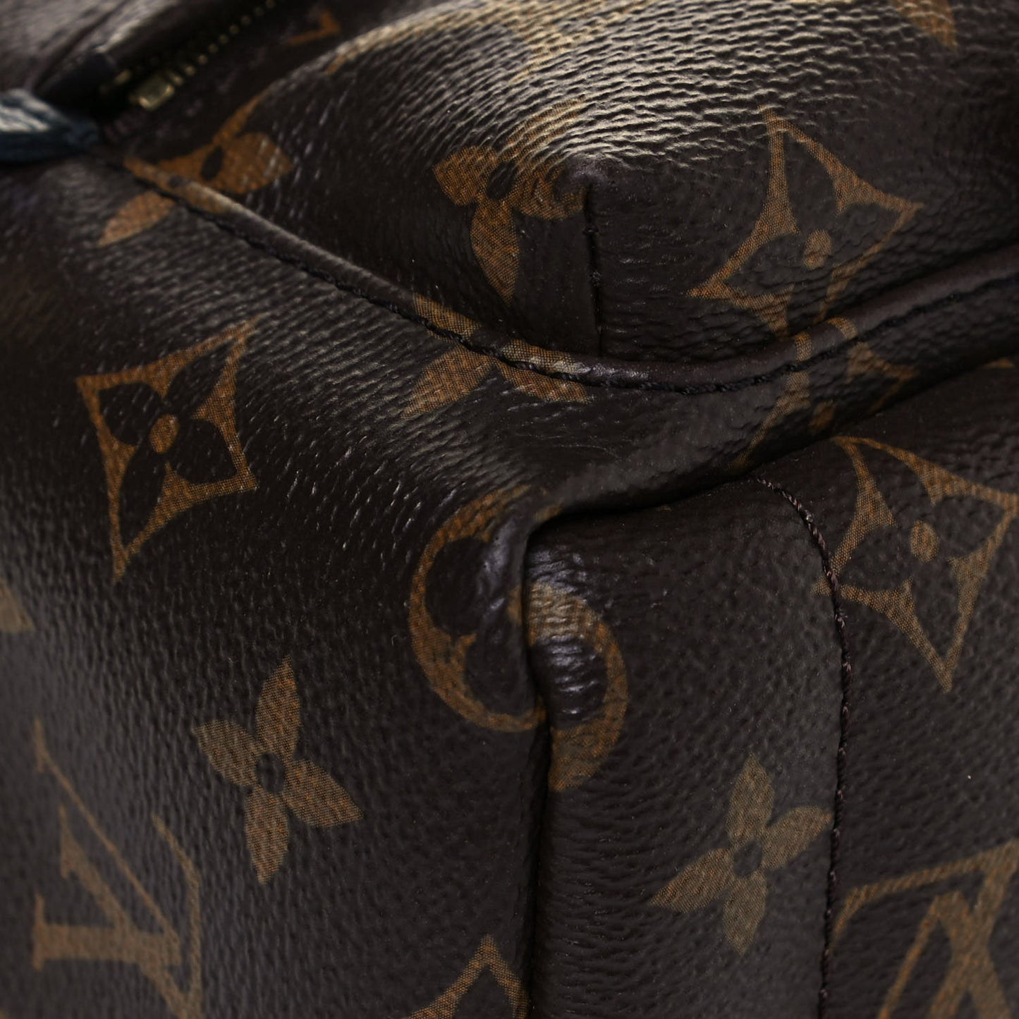 Monogram Palm Springs Backpack Mini