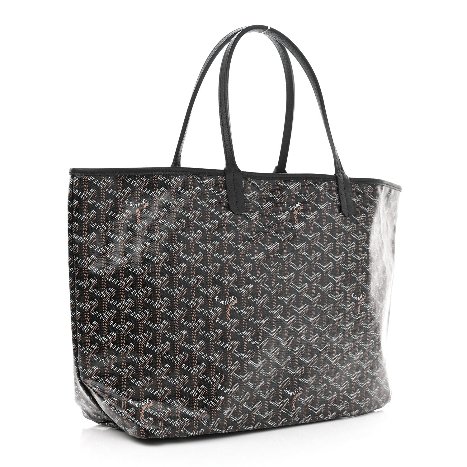 Goyard Goyardine Saint Louis PM Black 4 of 12