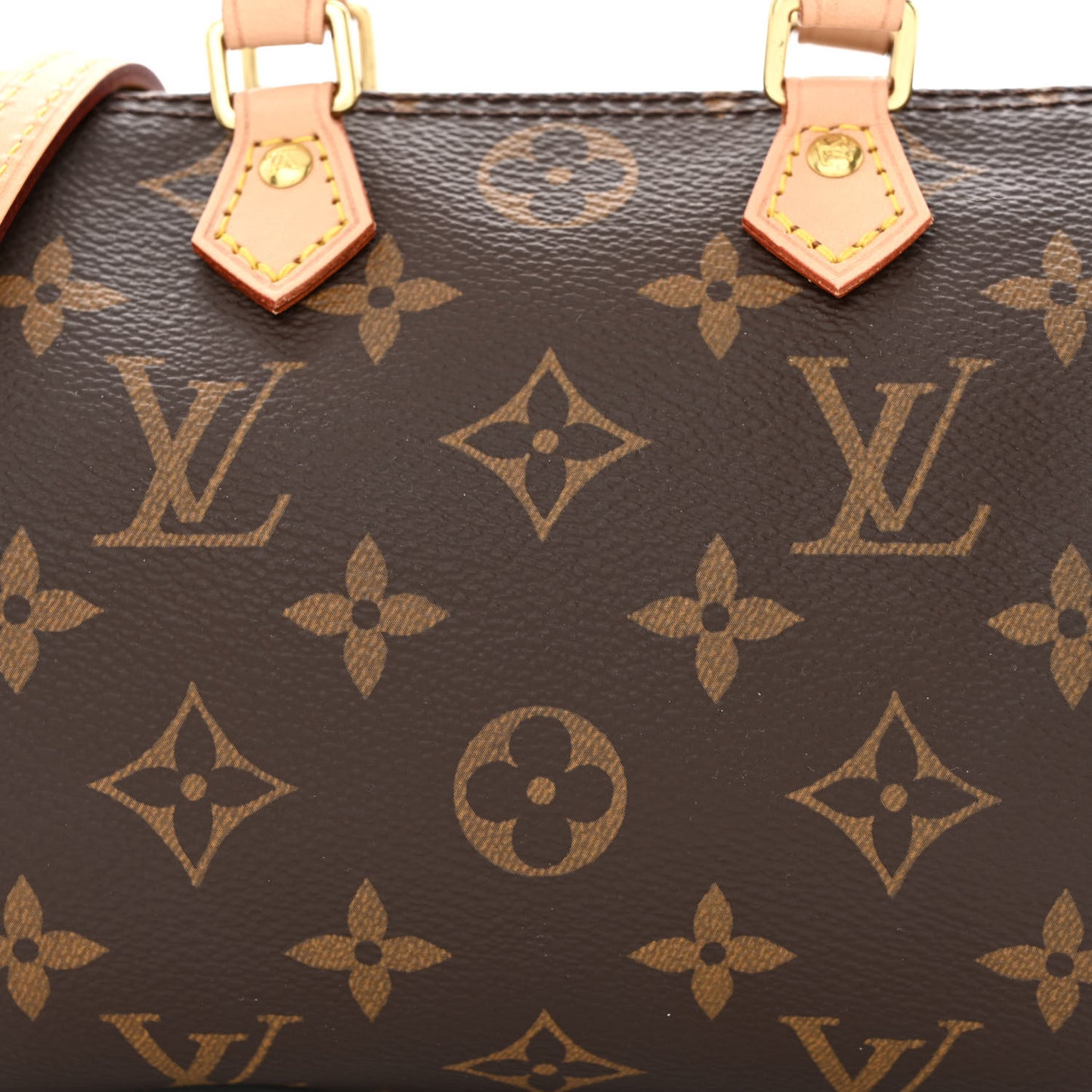 Monogram Nano Speedy
