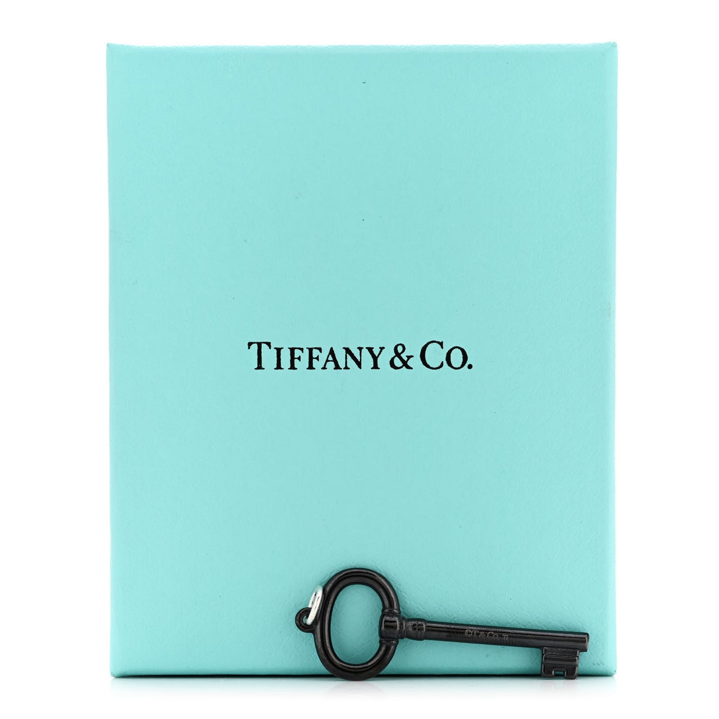 Black Titanium Oval Key Pendant