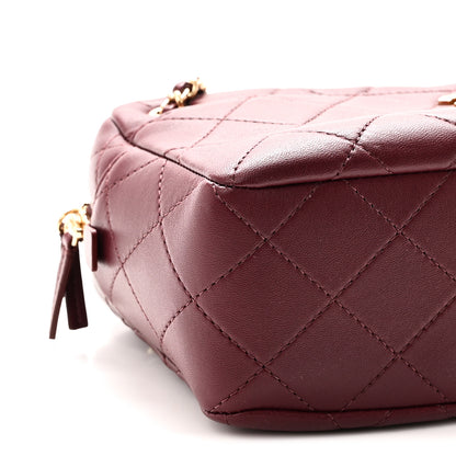 Chanel Lambskin Quilted CC Camera Case Burgundy 9 of 10