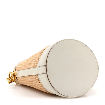 Prada Paglia City Calfskin Bucket Bag Naturale White 4 of 12