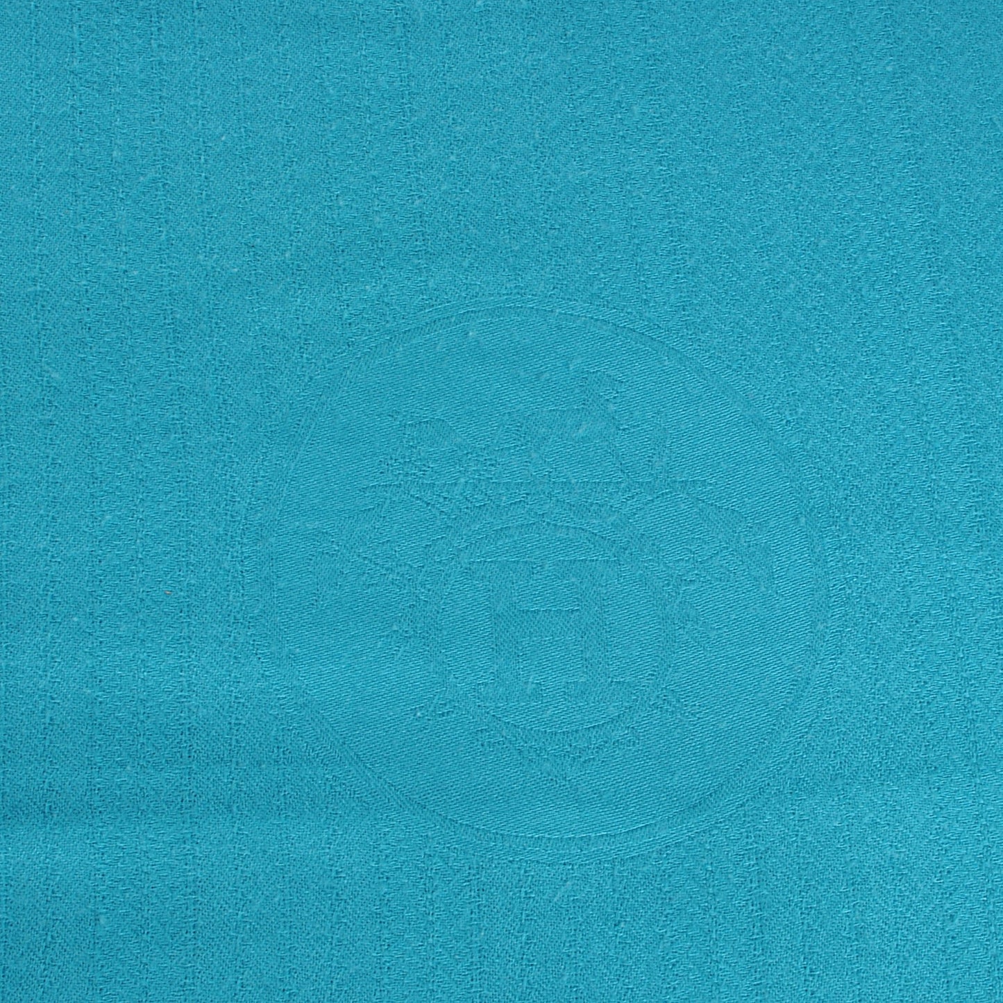 Solid Cashmere Logo Stole Scarf Turquoise