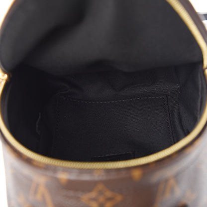 Louis Vuitton Monogram Palm Springs Backpack Mini 5 of 11