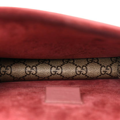 Gucci GG Supreme Monogram Blooms Mini Dionysus Shoulder Bag Beige Multicolor Dry Rose 5 of 14