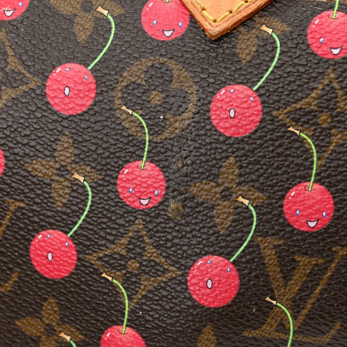 Monogram Cerises Speedy 25
