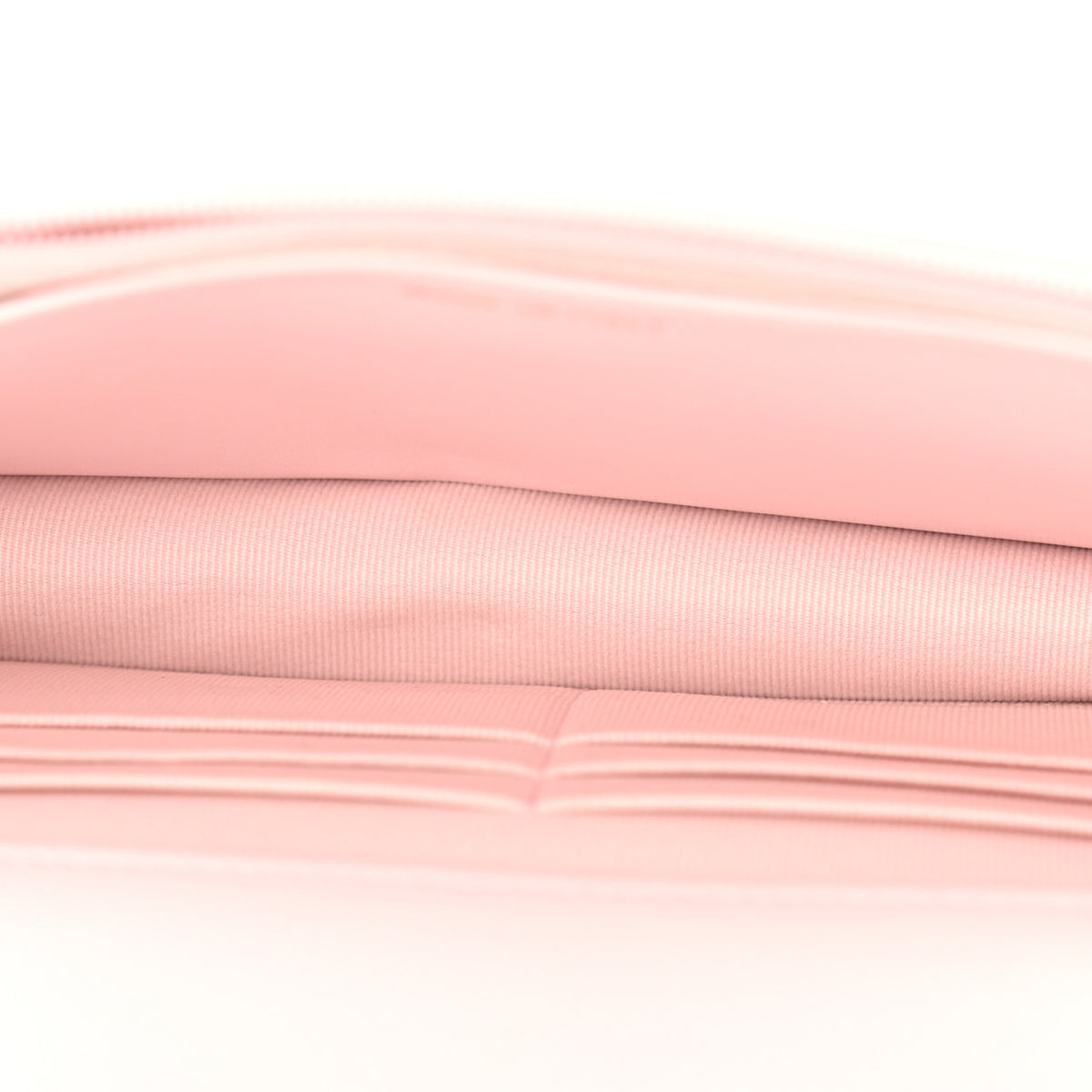 Lambskin Quilted Chanel 19 Wallet On Chain WOC Light Pink