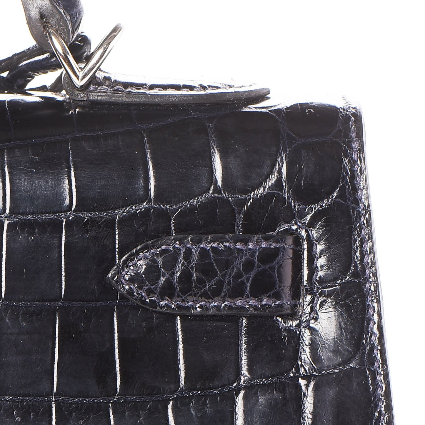 Shiny Niloticus Crocodile Kelly Sellier 32