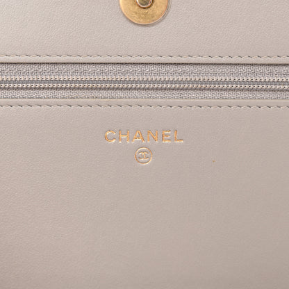 Chanel Caviar Quilted Boy Wallet On Chain WOC Grey 6 of 14
