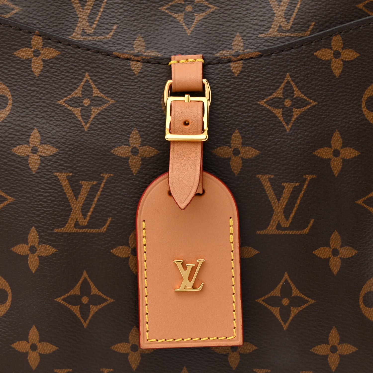 Louis Vuitton Monogram Odeon PM Natural 7 of 12
