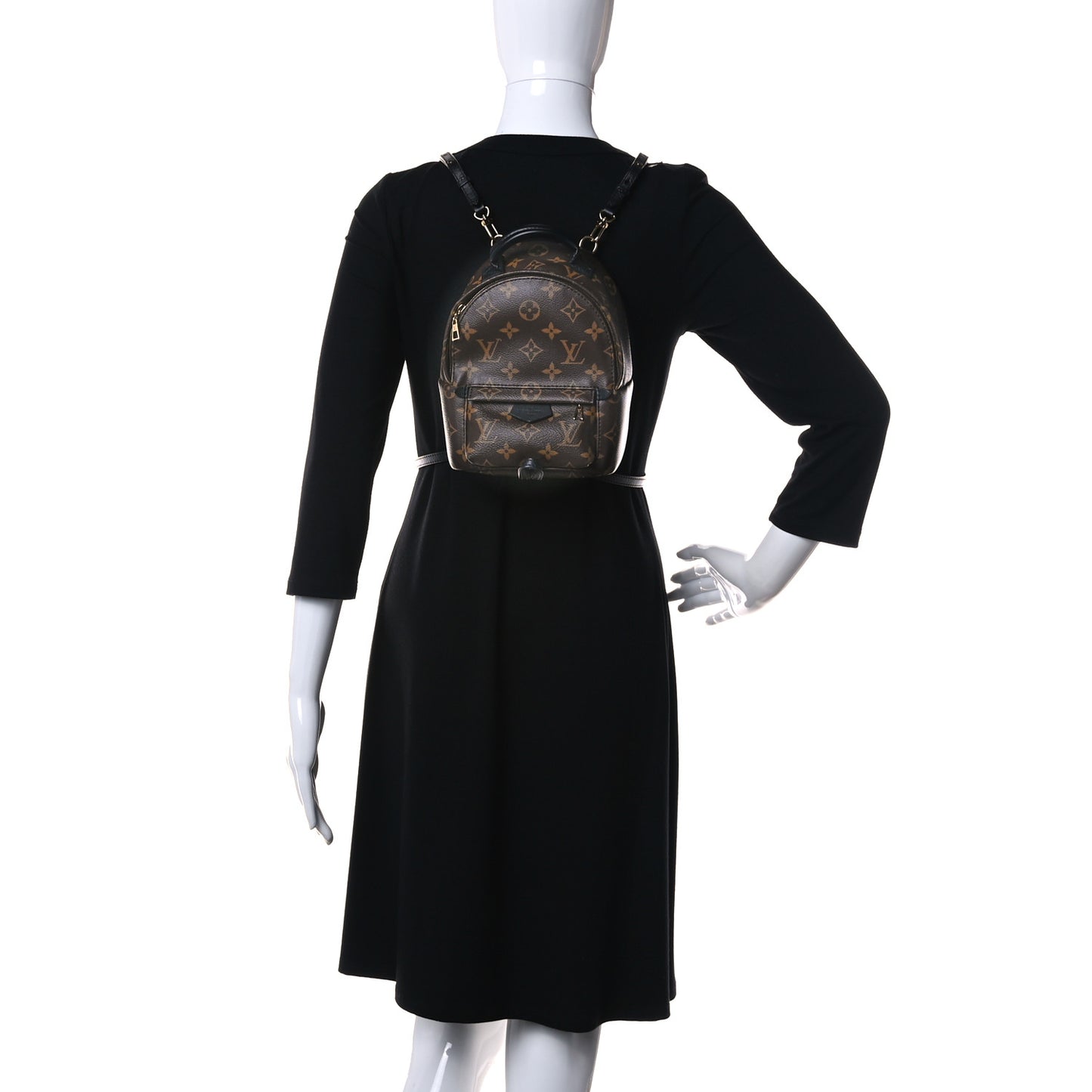Monogram Palm Springs Backpack Mini