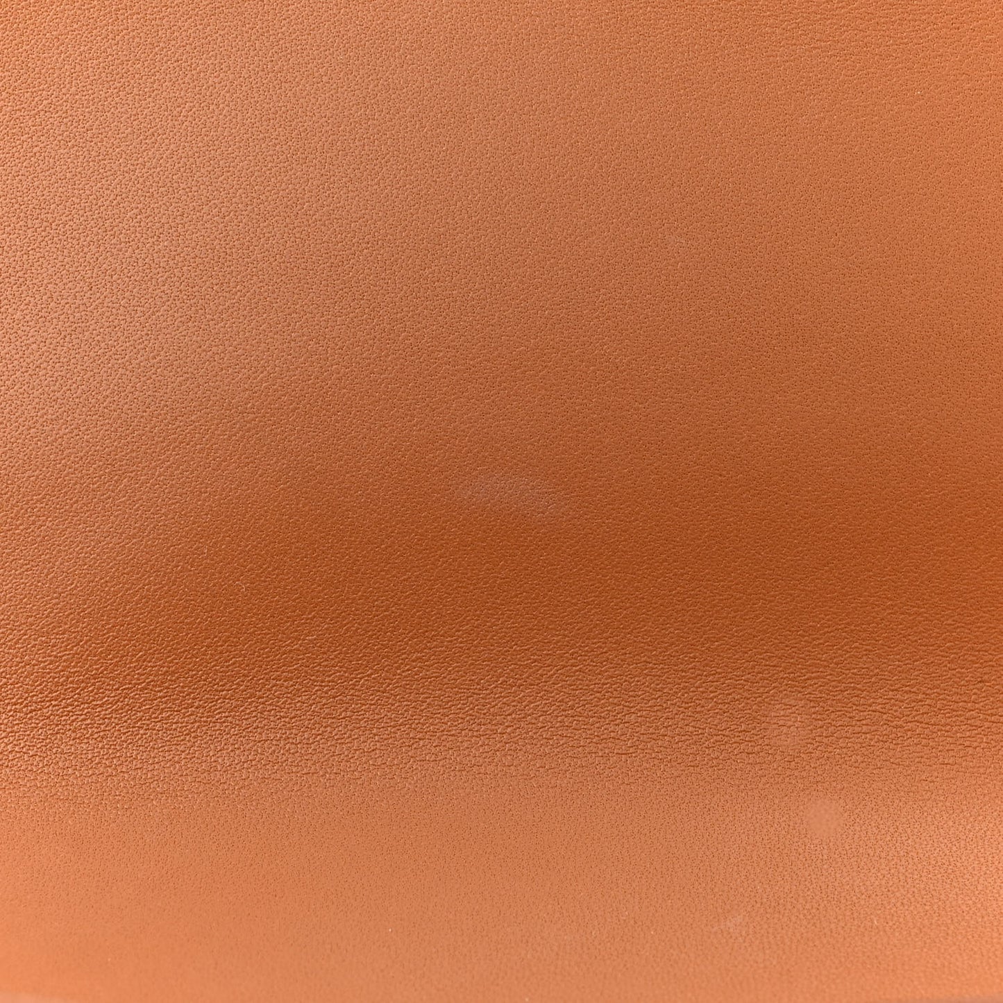 Evercolor Constance 18 Gold