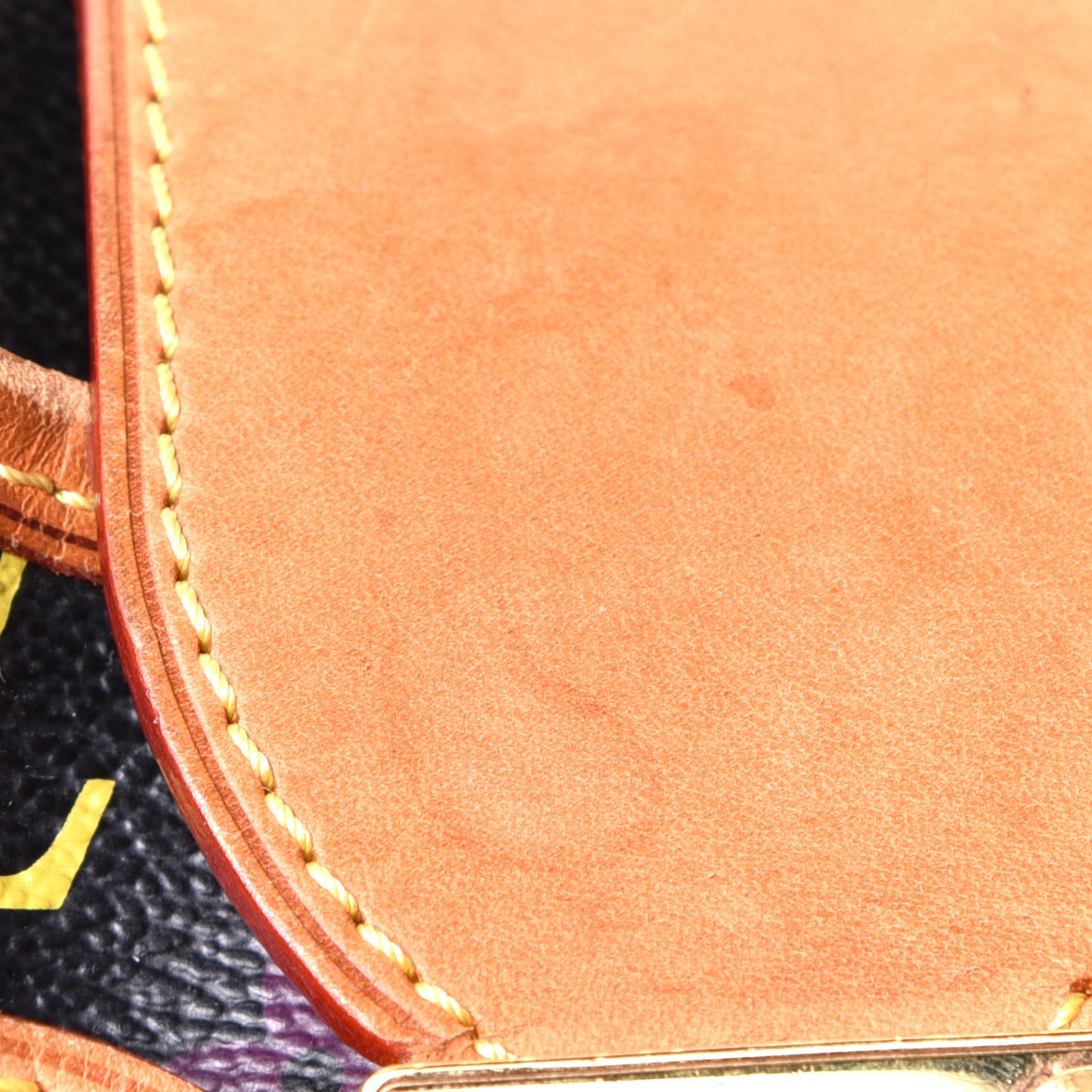Monogram Multicolor Annie GM Black