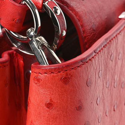 Louis Vuitton Ostrich Capucines BB Coquelicot 13 of 14