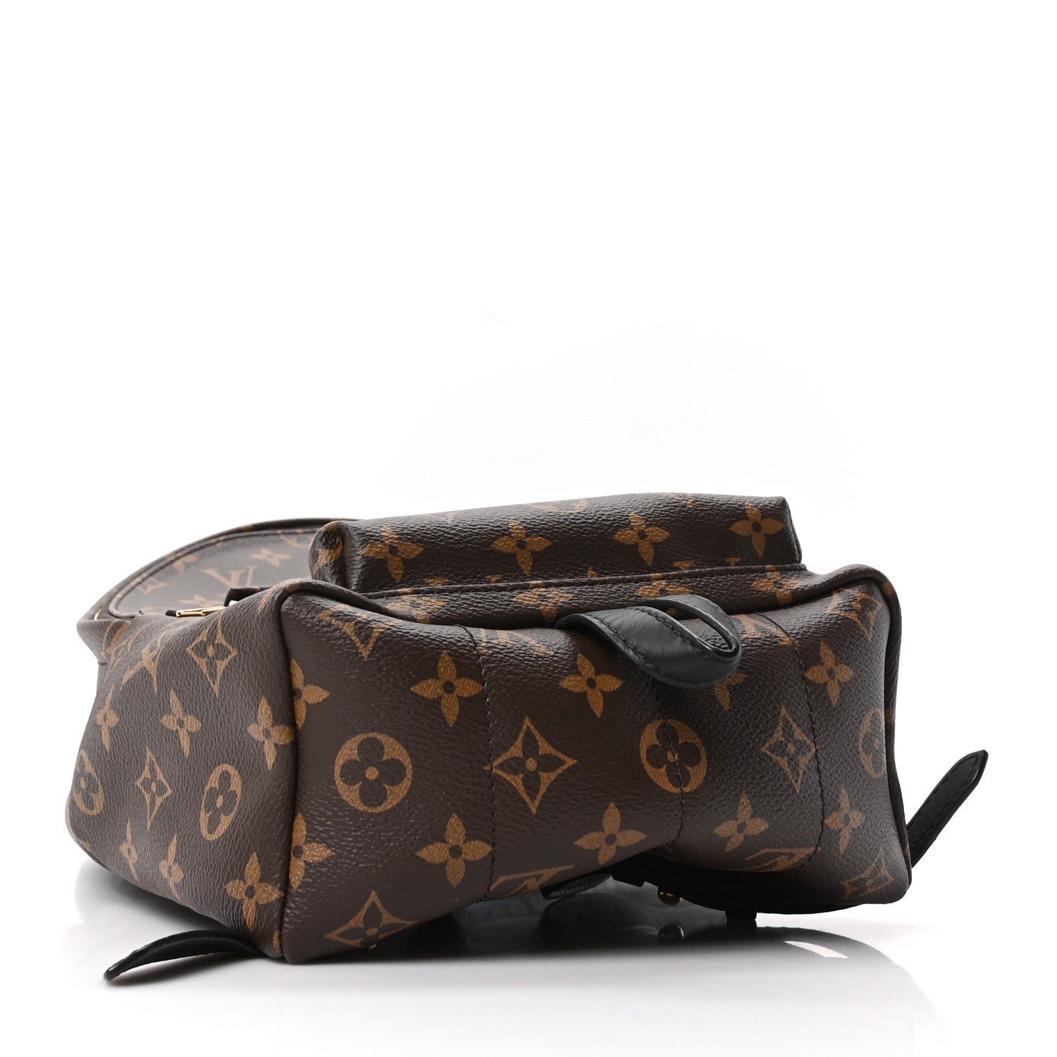 Louis Vuitton Palm Springs Monogram Canvas Pm Backpack