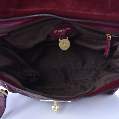 Mulberry Soft Buffalo Medium Alexa Conker 5 of 11