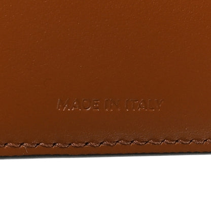 Celine Triomphe Canvas Fine Strap Wallet Nino Tan 7 of 9