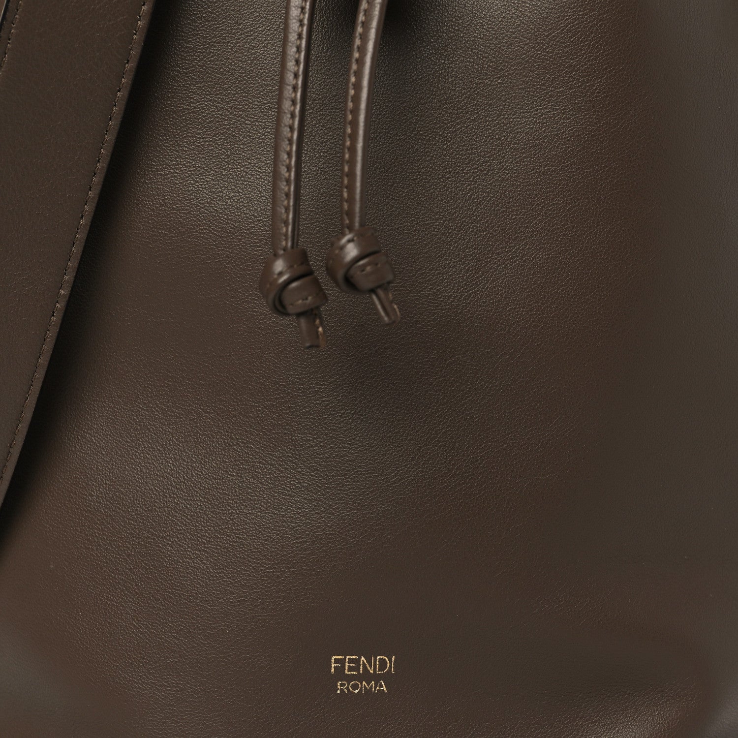 Fendi Vitello Grace Matte F is Fendi Grande Mon Tresor Bucket Bag Maya 9 of 11