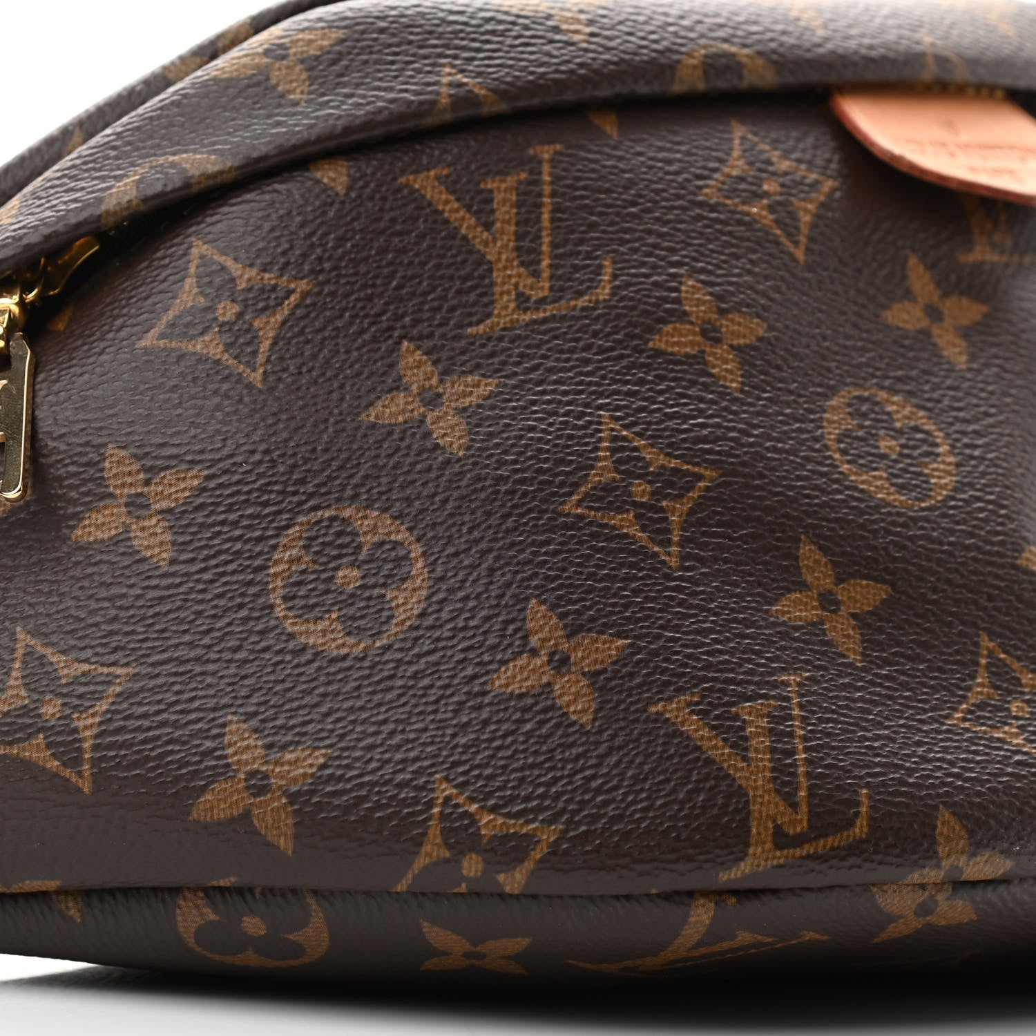 Louis Vuitton Monogram Bumbag 8 of 11