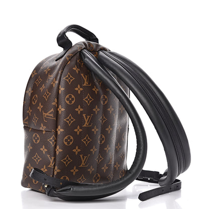 Louis Vuitton Monogram Palm Springs Backpack PM 3 of 11