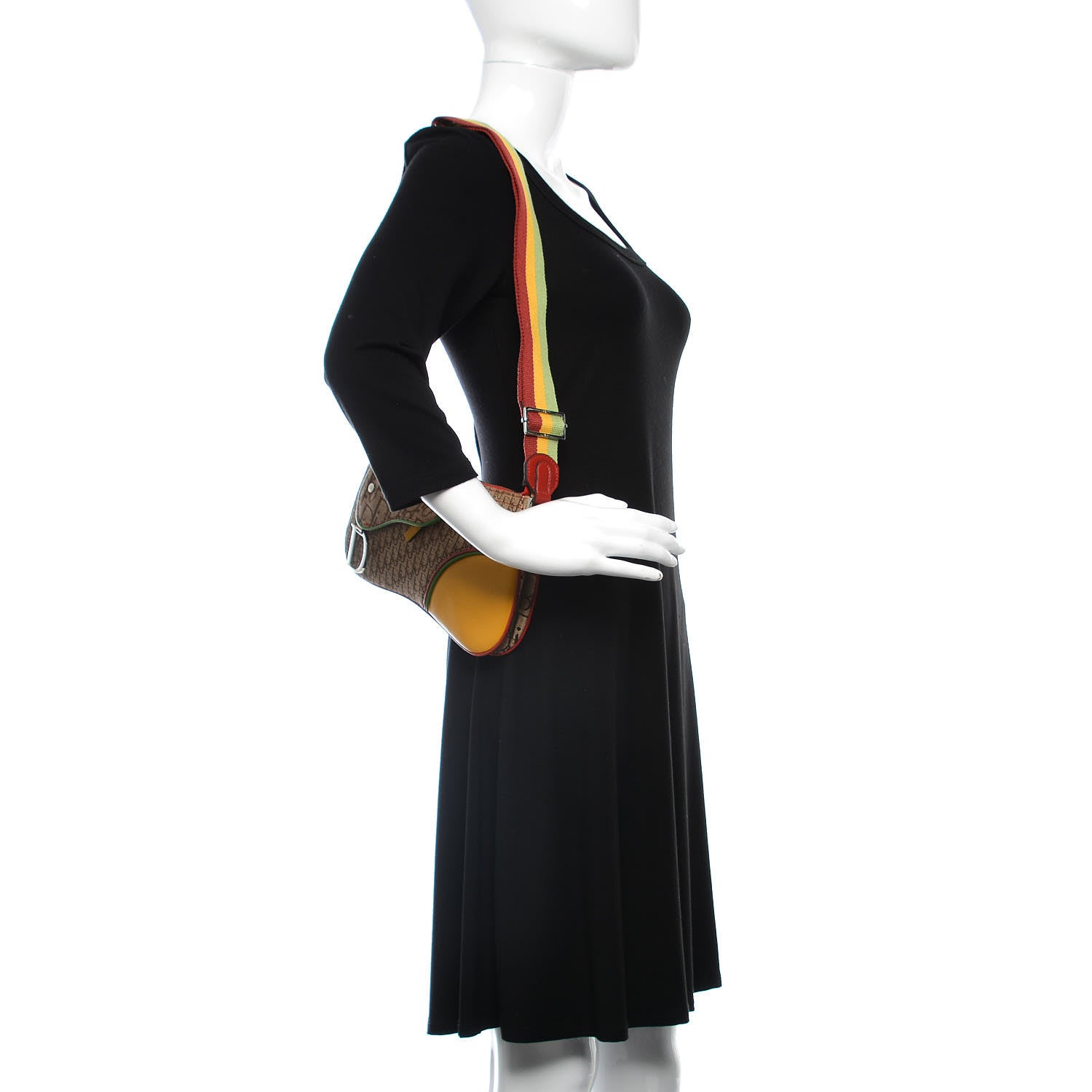 Christian Dior Monogram Rasta Double Saddle Beige 2 of 9