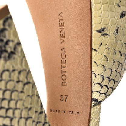 Bottega Veneta Faded Goatskin Python Printed Tower 40/140mm Platform Pumps 37 Kiwi Black 6 of 7