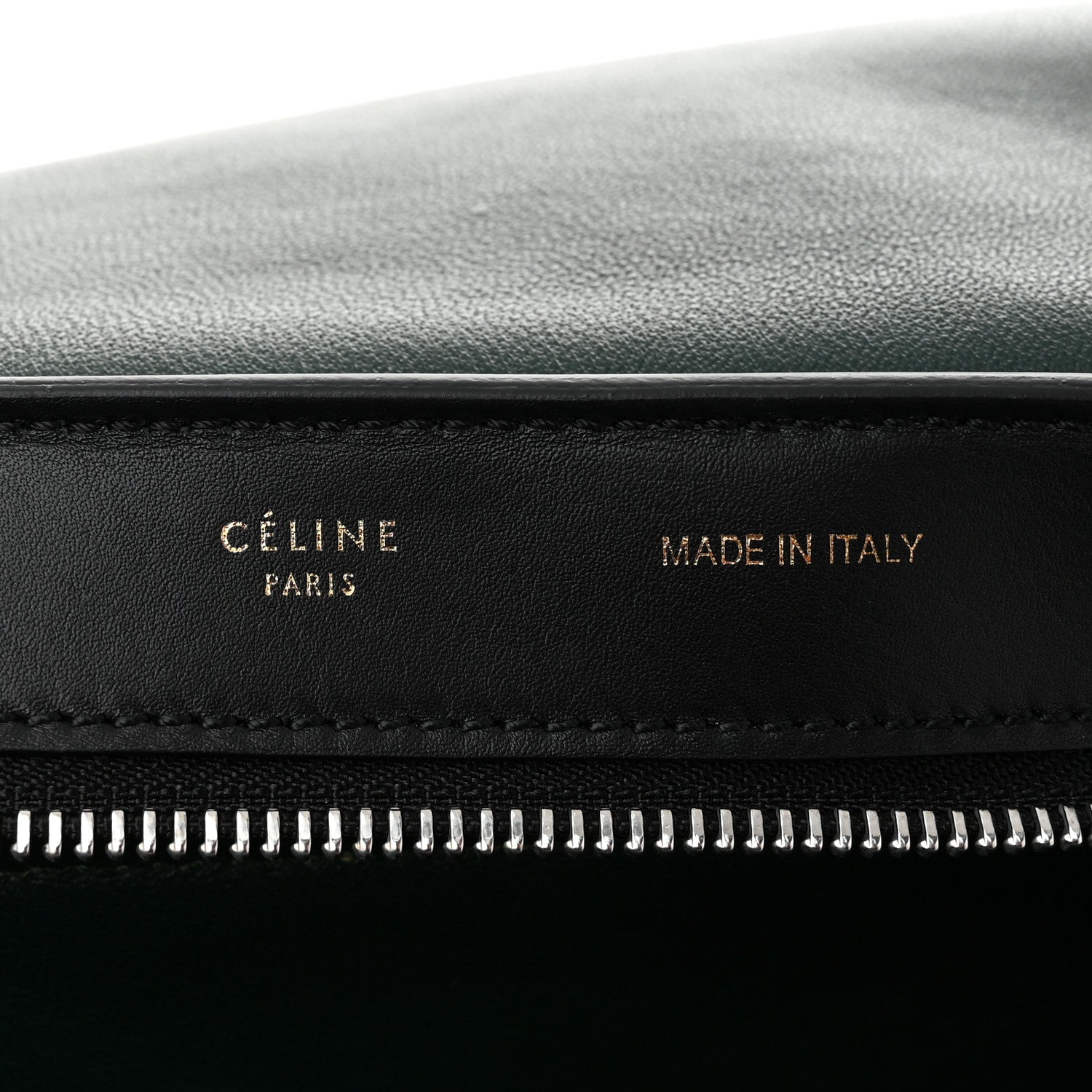 Celine Pony Hair Smooth Calfskin Medium Tri-Color Trapeze Flamingo Green Black 6 of 10