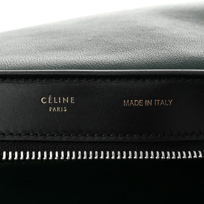 Celine Pony Hair Smooth Calfskin Medium Tri-Color Trapeze Flamingo Green Black 6 of 10