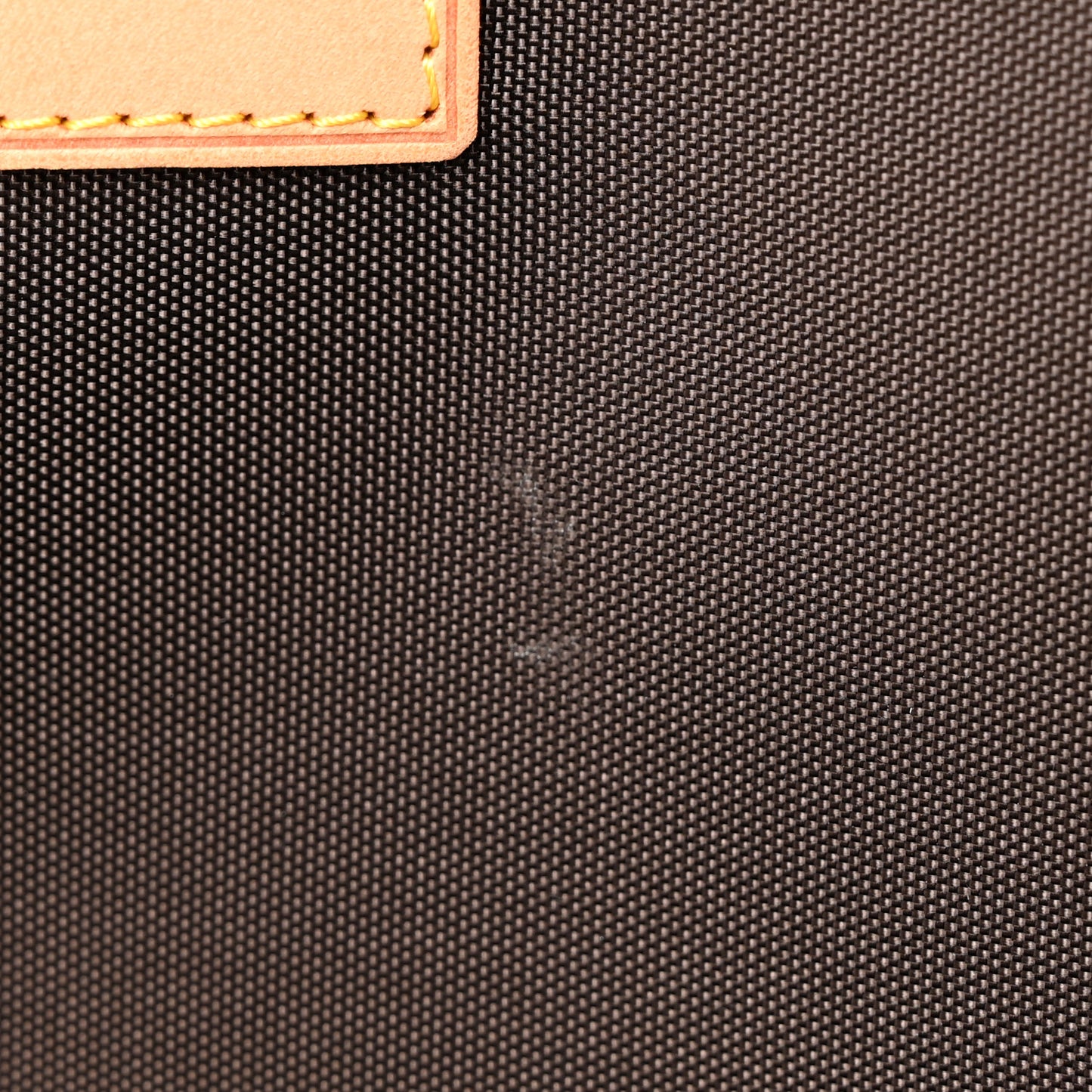 Monogram Pegase 55 Business
