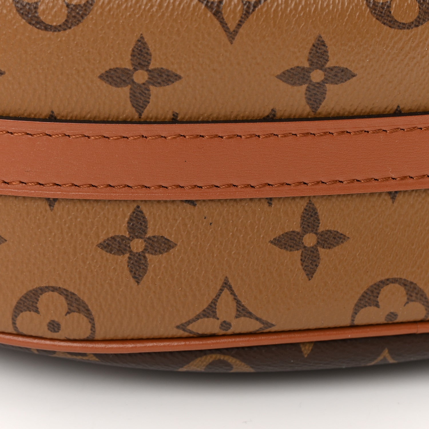 Louis Vuitton Reverse Monogram Loop Hobo 11 of 11