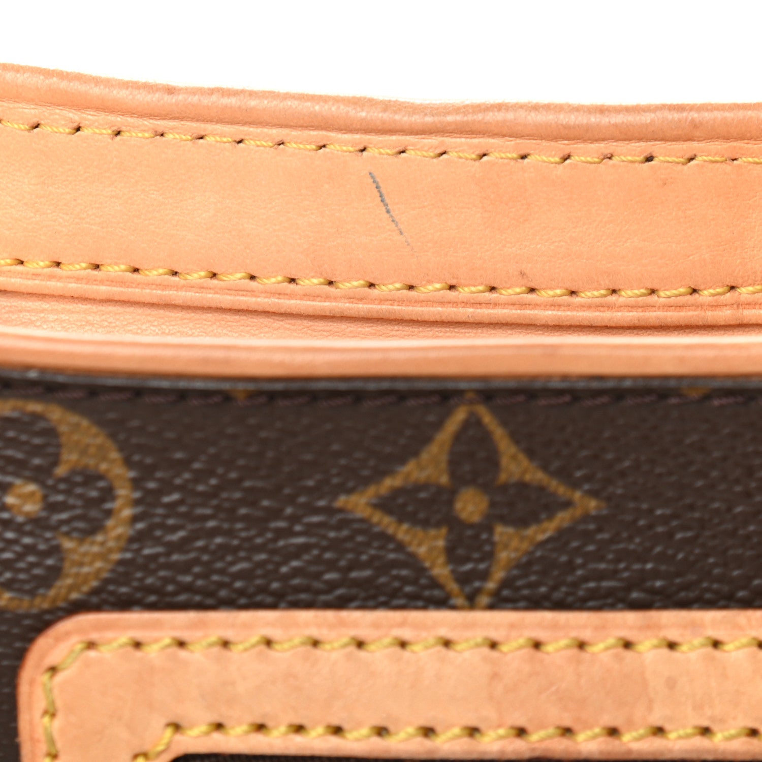 Louis Vuitton Monogram Hudson GM 10 of 10