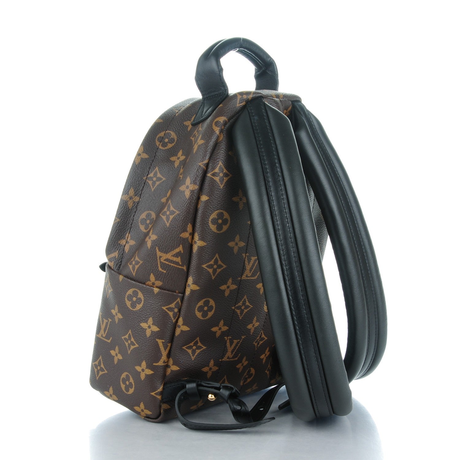 Louis Vuitton Monogram Palm Springs Backpack PM 3 of 7