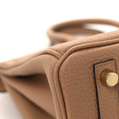 Hermes Togo Birkin 25 Chai 11 of 13