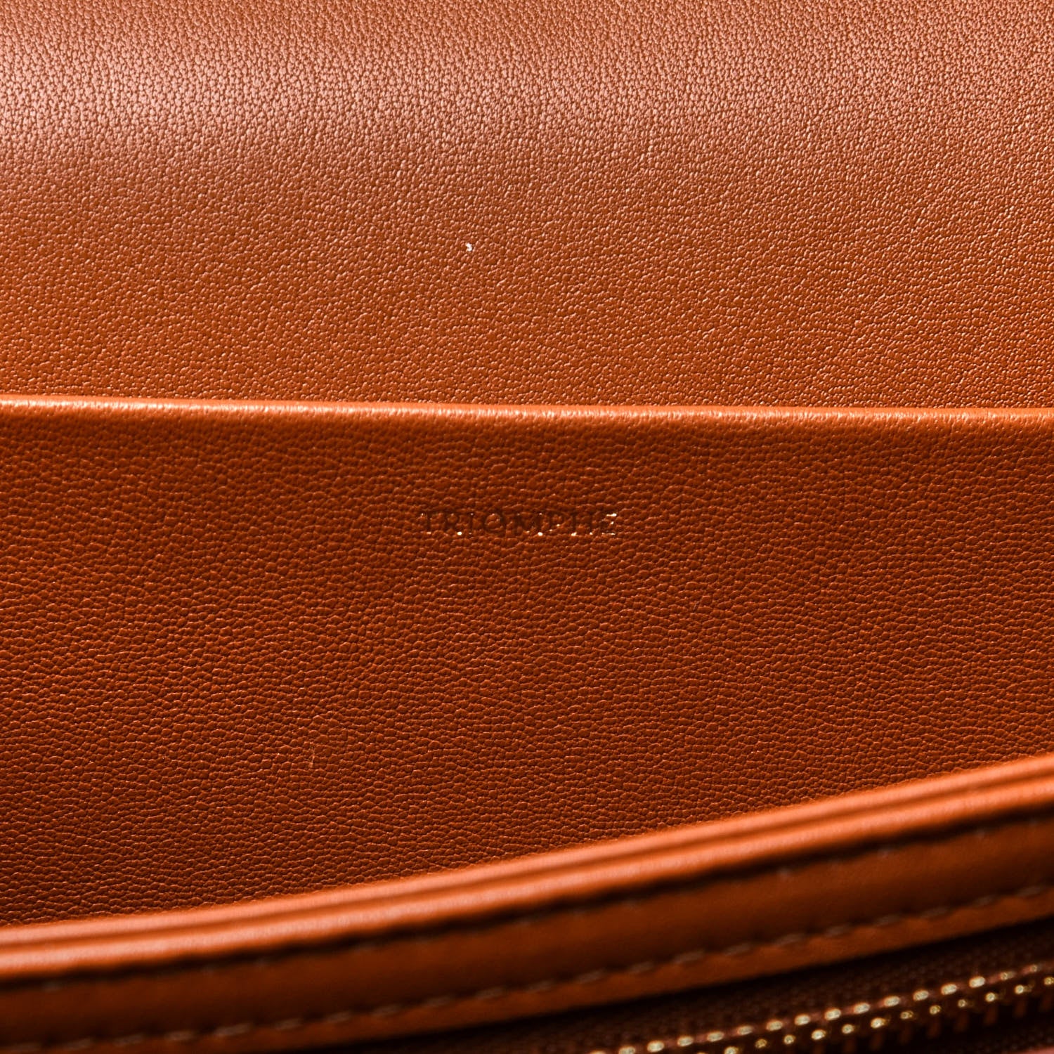 Celine Textile Natural Calfskin Medium Triomphe Bag White Tan 7 of 13