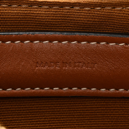 Celine Triomphe Canvas Calfskin Ava Shoulder Bag Tan 7 of 10