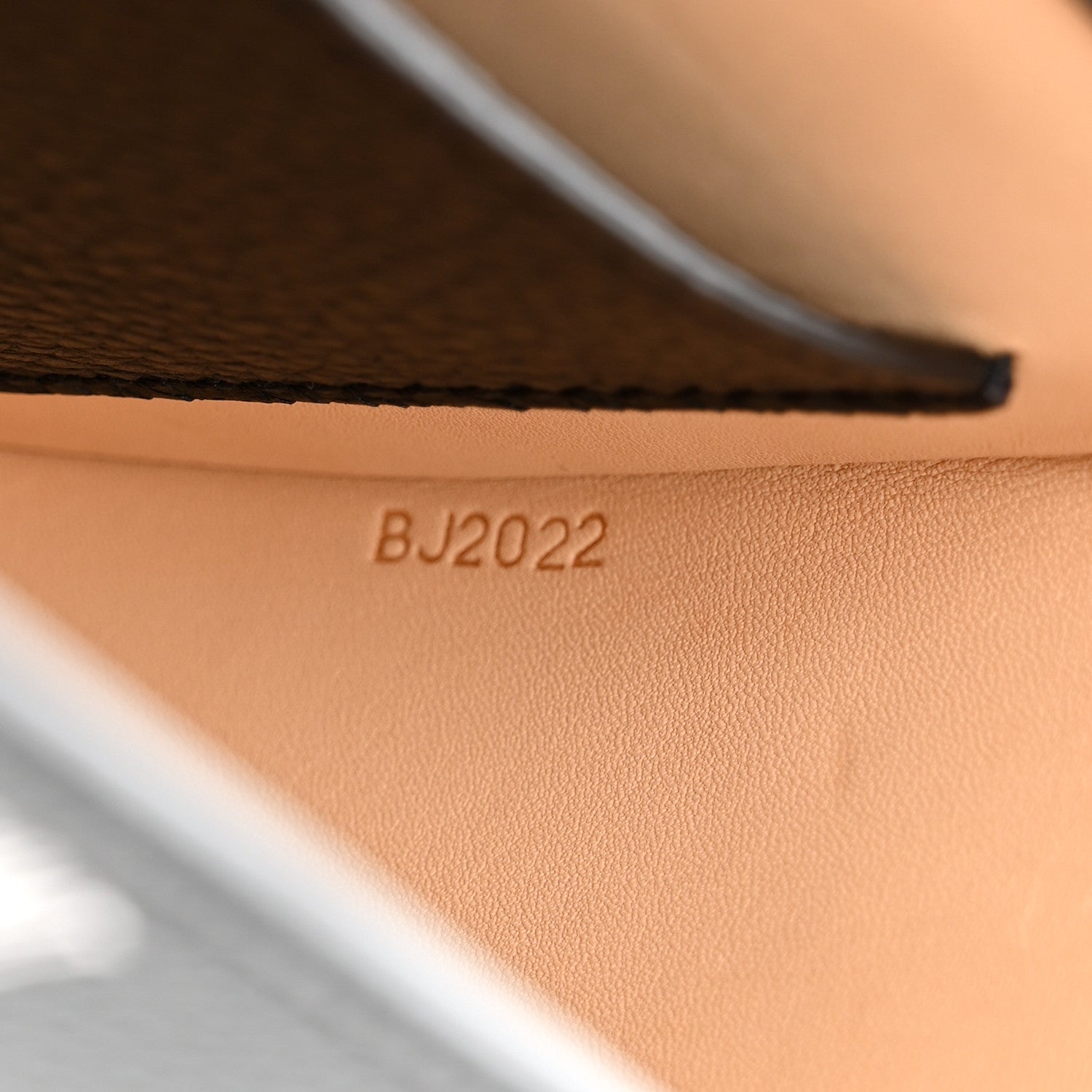 Moynat Taurillon Blush Flori PM Black 9 of 12