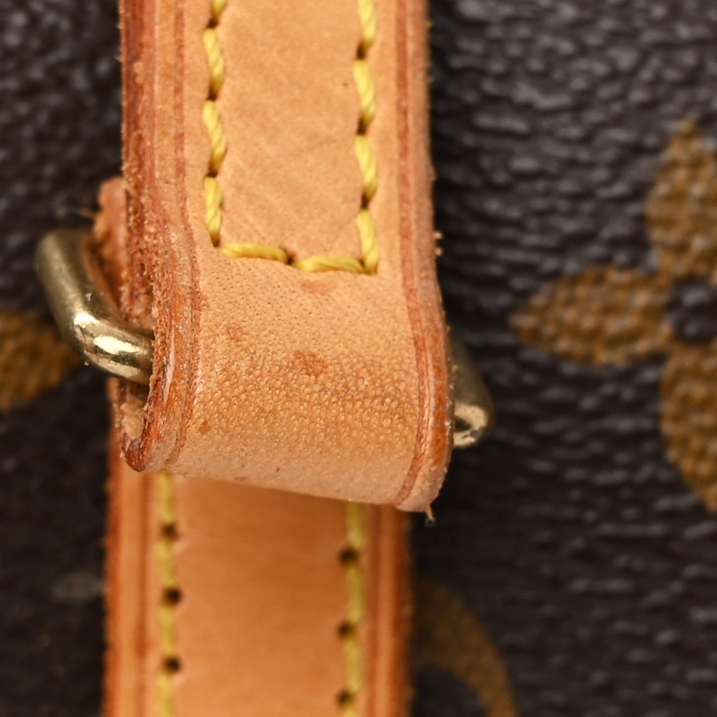 Monogram Papillon 30 with Companion
