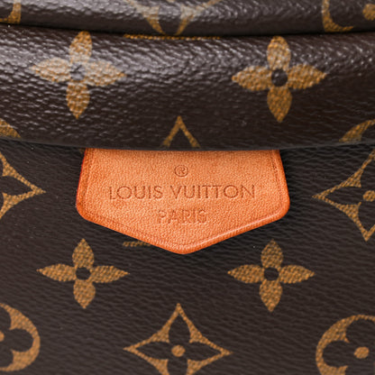 Louis Vuitton Monogram Bumbag 8 of 16