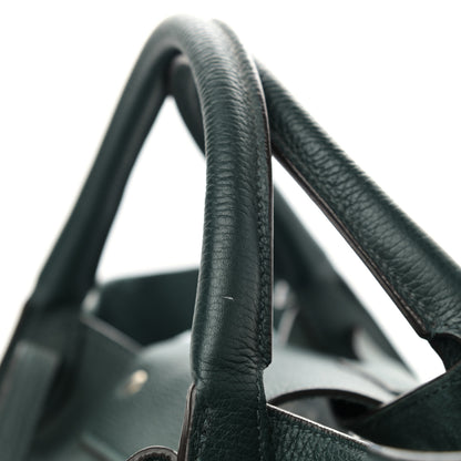 Celine Supple Grained Calfskin Small Big Bag Amazone 10 of 10