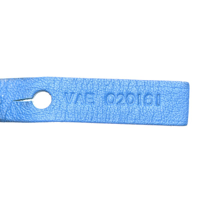Goyard Goyardine Saint Louis PM Sky Blue 8 of 10