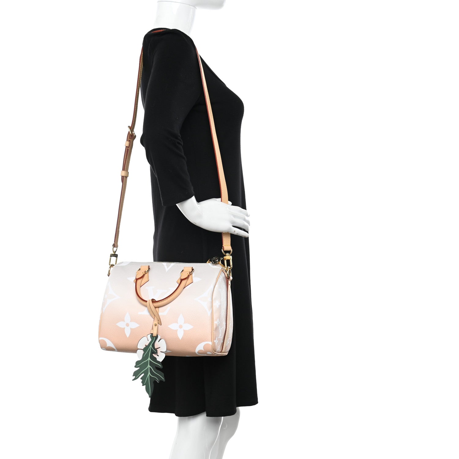 Louis Vuitton Monogram Giant By The Pool Speedy Bandouliere 25 Brume 2 of 9