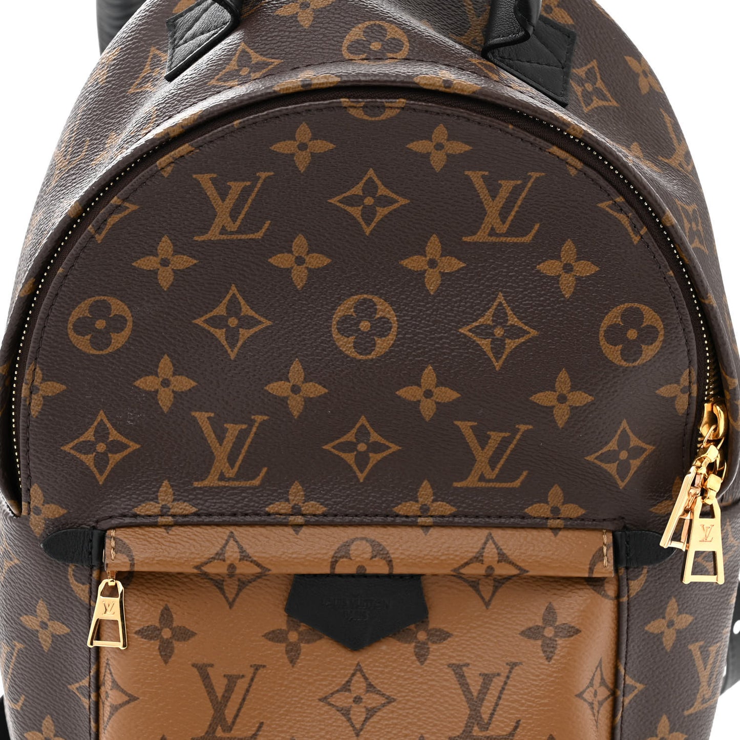 Reverse Monogram Palm Springs Backpack PM