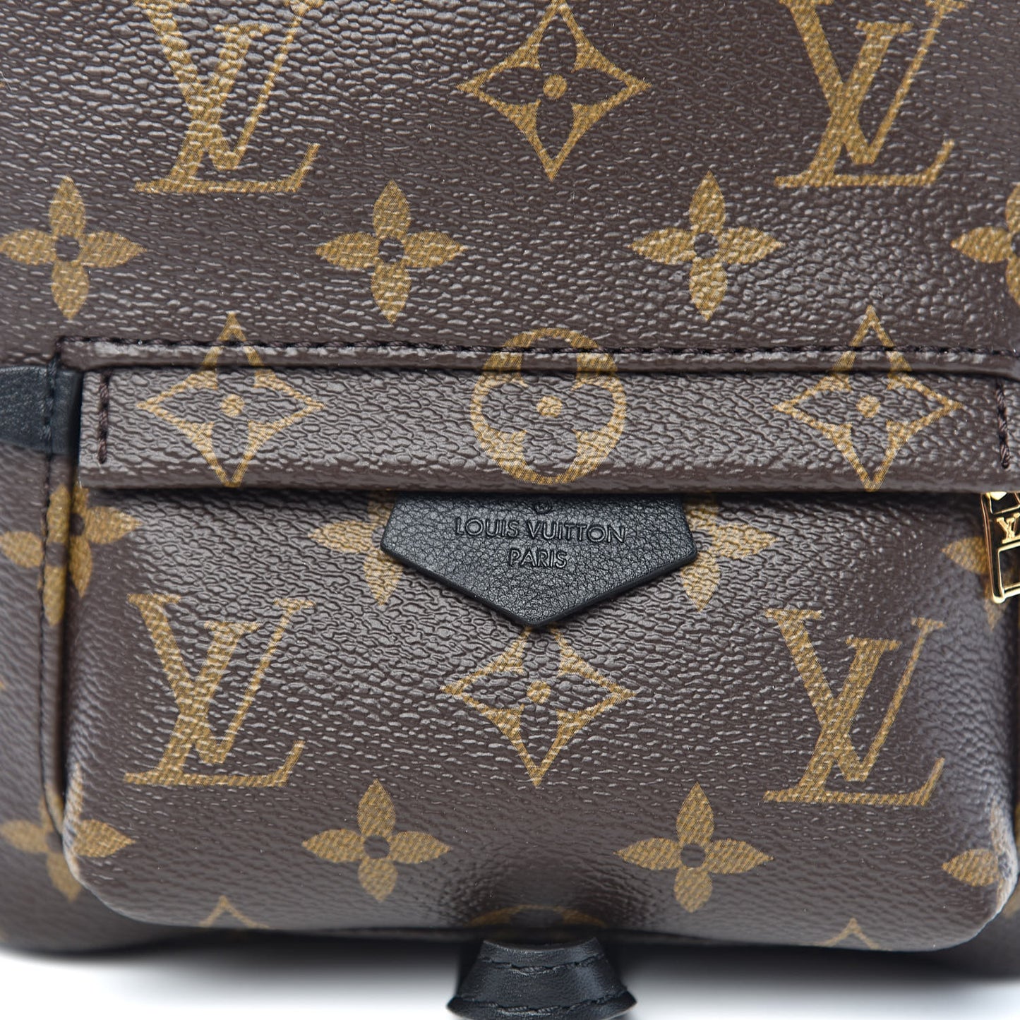 Monogram Palm Springs Backpack Mini