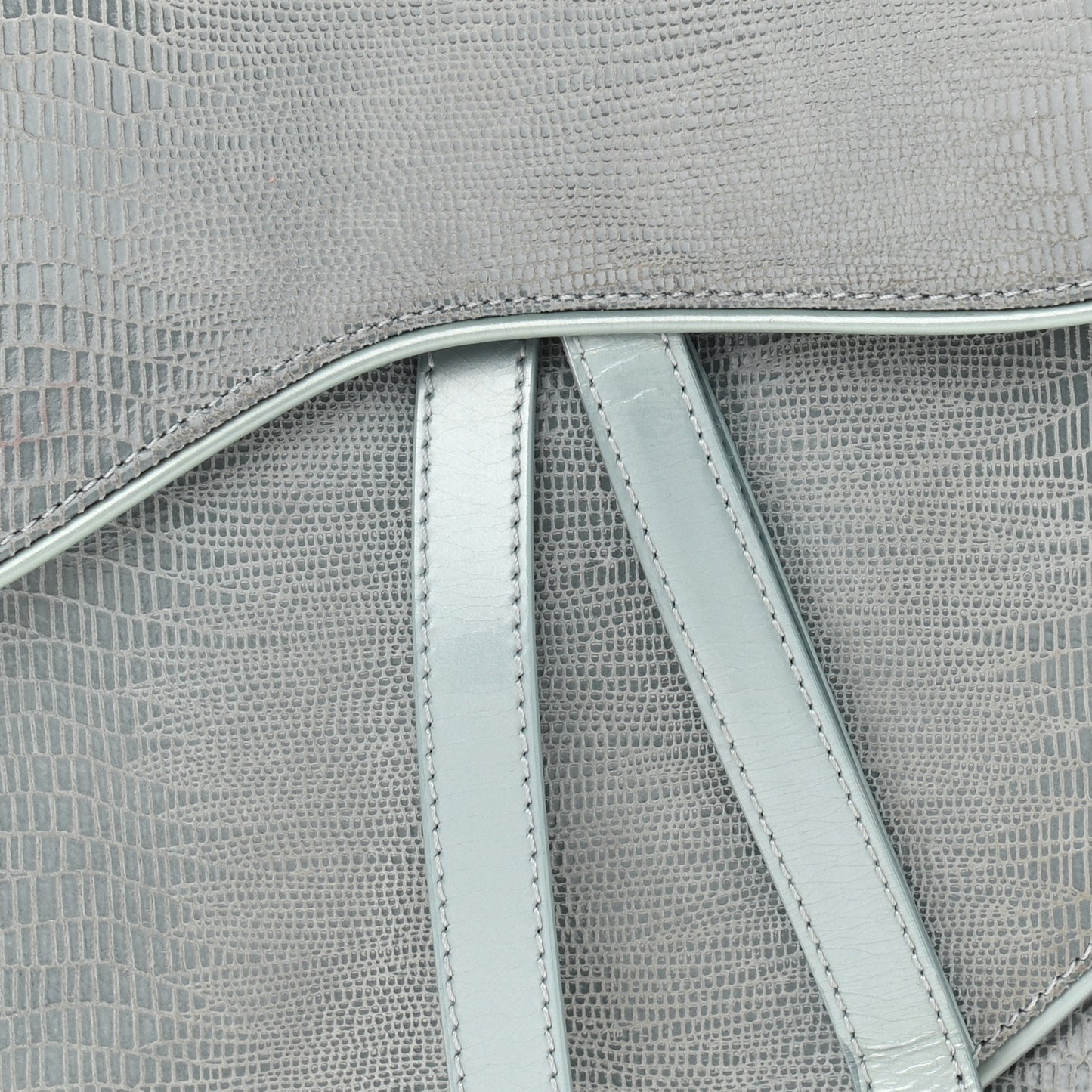 Lizard Double Saddle Bag Blue