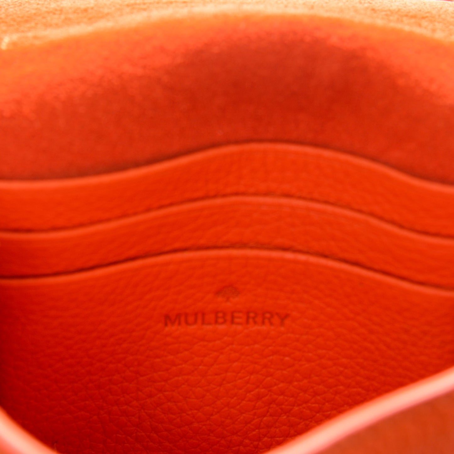 Small Classic Grain Calfskin Mini Lily Manadrin